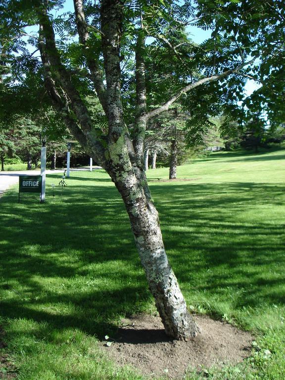 Ducktrap Motel Lincolnville Exterior photo